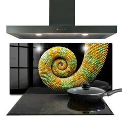 Apsauga nuo purslų stiklo plokštė Chameleono uodegos gamta, 120x60 cm, įvairių spalvų kaina ir informacija | Virtuvės baldų priedai | pigu.lt