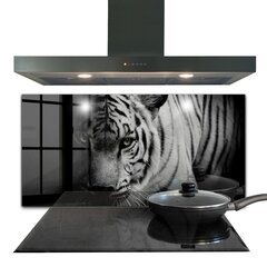 Apsauga nuo purslų stiklo plokštė Baltasis Sibiro tigras, 120x60 cm, įvairių spalvų kaina ir informacija | Virtuvės baldų priedai | pigu.lt
