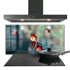 Apsauga nuo purslų stiklo plokštė Subtilus drugelis vėjyje, 120x60 cm, įvairių spalvų цена и информация | Комплектующие для кухонной мебели | pigu.lt