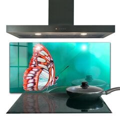 Apsauga nuo purslų stiklo plokštė Gražus drugelis gamtoje, 120x60 cm, įvairių spalvų kaina ir informacija | Virtuvės baldų priedai | pigu.lt