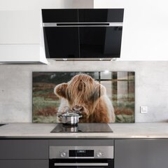 Apsauga nuo purslų stiklo plokštė Highland Cottage Style Cow, 120x60 cm, įvairių spalvų цена и информация | Комплектующие для кухонной мебели | pigu.lt