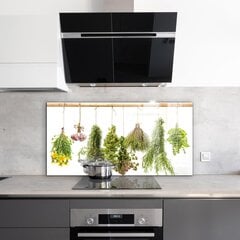 Apsauga nuo purslų stiklo plokštė Džiovintos žolės Žolinis vaistas, 120x60 cm, įvairių spalvų kaina ir informacija | Virtuvės baldų priedai | pigu.lt