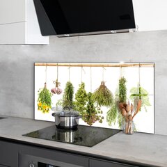 Apsauga nuo purslų stiklo plokštė Džiovintos žolės Žolinis vaistas, 120x60 cm, įvairių spalvų kaina ir informacija | Virtuvės baldų priedai | pigu.lt