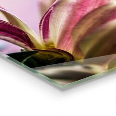 Apsauga nuo purslų stiklo plokštė Gėlė su rasos lašeliu Rytas, 120x60 cm, įvairių spalvų kaina ir informacija | Virtuvės baldų priedai | pigu.lt