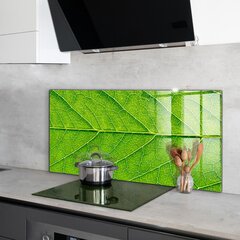 Apsauga nuo purslų stiklo plokštė Subtili lapų detalė, 120x60 cm, įvairių spalvų kaina ir informacija | Virtuvės baldų priedai | pigu.lt