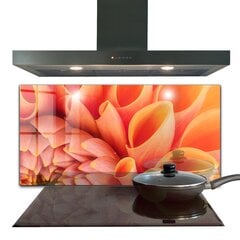 Apsauga nuo purslų stiklo plokštė Apelsinų gėlė, 120x60 cm, įvairių spalvų kaina ir informacija | Virtuvės baldų priedai | pigu.lt