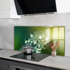 Apsauga nuo purslų stiklo plokštė Rasa ant žalių lapų, 120x60 cm, įvairių spalvų цена и информация | Комплектующие для кухонной мебели | pigu.lt