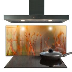 Apsauga nuo purslų stiklo plokštė Grūdų laukas saulėlydžio metu, 120x60 cm, įvairių spalvų kaina ir informacija | Virtuvės baldų priedai | pigu.lt