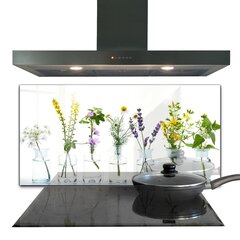 Apsauga nuo purslų stiklo plokštė Natūralių žolelių sveikata, 120x60 cm, įvairių spalvų kaina ir informacija | Virtuvės baldų priedai | pigu.lt