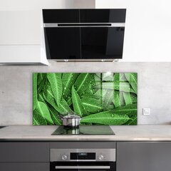 Apsauga nuo purslų stiklo plokštė Žali lapai po lietaus, 120x60 cm, įvairių spalvų kaina ir informacija | Virtuvės baldų priedai | pigu.lt