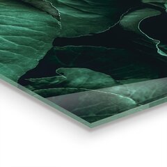 Apsauga nuo purslų stiklo plokštė Tamsiai žali lapai, 120x60 cm, įvairių spalvų kaina ir informacija | Virtuvės baldų priedai | pigu.lt