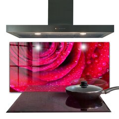 Apsauga nuo purslų stiklo plokštė Rožė Meilės simbolis, 120x60 cm, įvairių spalvų kaina ir informacija | Virtuvės baldų priedai | pigu.lt