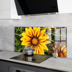 Apsauga nuo purslų stiklo plokštė Geltona gėlė pievoje, 120x60 cm, įvairių spalvų kaina ir informacija | Virtuvės baldų priedai | pigu.lt