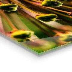 Apsauga nuo purslų stiklo plokštė Gėlių makro fotografija, 120x60 cm, įvairių spalvų kaina ir informacija | Virtuvės baldų priedai | pigu.lt