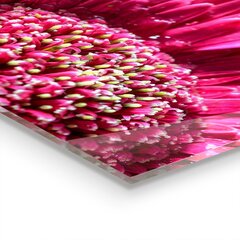 Apsauga nuo purslų stiklo plokštė Rožinių gėlių gamtos detalės, 120x60 cm, įvairių spalvų kaina ir informacija | Virtuvės baldų priedai | pigu.lt