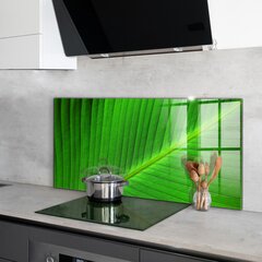 Apsauga nuo purslų stiklo plokštė Tropinis palmės lapas, 120x60 cm, įvairių spalvų kaina ir informacija | Virtuvės baldų priedai | pigu.lt