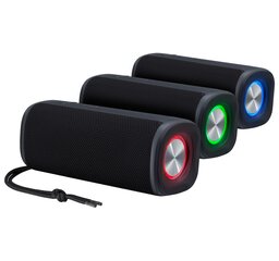 GARSIAKALBIS DEFENDER PULSAR 10W BLUETOOTH LIGHT/BT/TYPEC/FM/USB/TF kaina ir informacija | Garso kolonėlės | pigu.lt