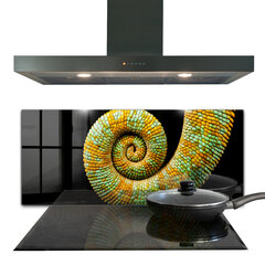 Apsauga nuo purslų stiklo plokštė Chameleono uodegos gamta, 125x50 cm, įvairių spalvų цена и информация | Комплектующие для кухонной мебели | pigu.lt