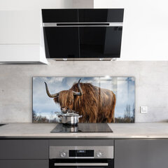 Apsauga nuo purslų stiklo plokštė Highland Boho karvė, 125x50 cm, įvairių spalvų цена и информация | Комплектующие для кухонной мебели | pigu.lt