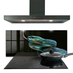 Apsauga nuo purslų stiklo plokštė Gyvatės laukinė gamta, 125x50 cm, įvairių spalvų kaina ir informacija | Virtuvės baldų priedai | pigu.lt