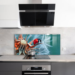 Apsauga nuo purslų stiklo plokštė Ladybug Raudonasis vabalas, 125x50 cm, įvairių spalvų цена и информация | Комплектующие для кухонной мебели | pigu.lt