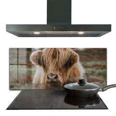 Apsauga nuo purslų stiklo plokštė Highland Cottage Style Cow, 125x50 cm, įvairių spalvų цена и информация | Комплектующие для кухонной мебели | pigu.lt