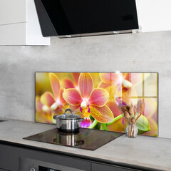 Apsauga nuo purslų stiklo plokštė Oranžinė orchidėja, 125x50 cm, įvairių spalvų kaina ir informacija | Virtuvės baldų priedai | pigu.lt