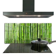 Apsauga nuo purslų stiklo plokštė Azijos bambukas, 125x50 cm, įvairių spalvų kaina ir informacija | Virtuvės baldų priedai | pigu.lt