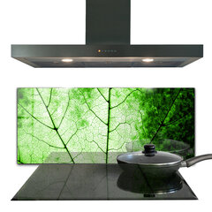 Apsauga nuo purslų stiklo plokštė Žaliųjų lapų tekstūra, 125x50 cm, įvairių spalvų kaina ir informacija | Virtuvės baldų priedai | pigu.lt