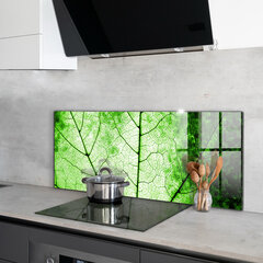 Apsauga nuo purslų stiklo plokštė Žaliųjų lapų tekstūra, 125x50 cm, įvairių spalvų kaina ir informacija | Virtuvės baldų priedai | pigu.lt