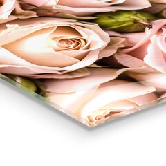Apsauga nuo purslų stiklo plokštė Švelnių rožių puokštė, 125x50 cm, įvairių spalvų kaina ir informacija | Virtuvės baldų priedai | pigu.lt