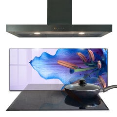 Apsauga nuo purslų stiklo plokštė Graži mėlyna lelija, 125x50 cm, įvairių spalvų kaina ir informacija | Virtuvės baldų priedai | pigu.lt