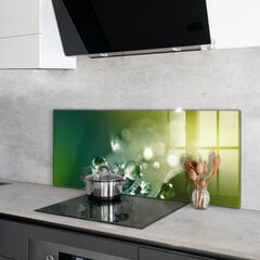 Apsauga nuo purslų stiklo plokštė Rasa ant žalių lapų, 125x50 cm, įvairių spalvų kaina ir informacija | Virtuvės baldų priedai | pigu.lt