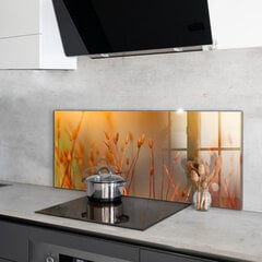 Apsauga nuo purslų stiklo plokštė Grūdų laukas saulėlydžio metu, 125x50 cm, įvairių spalvų kaina ir informacija | Virtuvės baldų priedai | pigu.lt