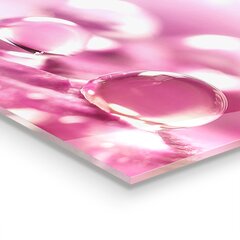 Apsauga nuo purslų stiklo plokštė Rasos lašai ant rožinės gėlės, 125x50 cm, įvairių spalvų цена и информация | Комплектующие для кухонной мебели | pigu.lt