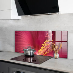 Apsauga nuo purslų stiklo plokštė Rožinis Hibiscus, 125x50 cm, įvairių spalvų kaina ir informacija | Virtuvės baldų priedai | pigu.lt