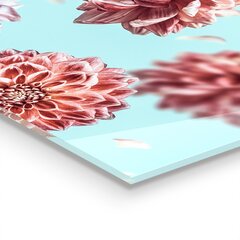 Apsauga nuo purslų stiklo plokštė Gėlės skrydžio kompozicija, 125x50 cm, įvairių spalvų цена и информация | Комплектующие для кухонной мебели | pigu.lt