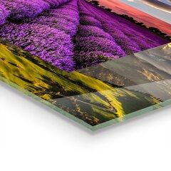Apsauga nuo purslų stiklo plokštė Levandų lauko peizažas, 125x50 cm, įvairių spalvų kaina ir informacija | Virtuvės baldų priedai | pigu.lt