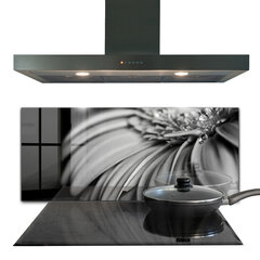 Apsauga nuo purslų stiklo plokštė Gerber juodai balta nuotrauka, 125x50 cm, įvairių spalvų kaina ir informacija | Virtuvės baldų priedai | pigu.lt