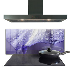 Apsauga nuo purslų stiklo plokštė Violetinė Gėlės Žiedlapis, 125x50 cm, įvairių spalvų kaina ir informacija | Virtuvės baldų priedai | pigu.lt