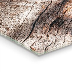 Apsauga nuo purslų stiklo plokštė Medžio žievės kamieno tekstūra, 125x50 cm, įvairių spalvų kaina ir informacija | Virtuvės baldų priedai | pigu.lt