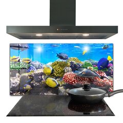 Apsauga nuo purslų stiklo plokštė Koralų rifas Raudonoji jūra, 140x70 cm, įvairių spalvų цена и информация | Комплектующие для кухонной мебели | pigu.lt