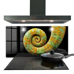 Apsauga nuo purslų stiklo plokštė Chameleono uodegos gamta, 140x70 cm, įvairių spalvų цена и информация | Комплектующие для кухонной мебели | pigu.lt