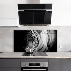 Apsauga nuo purslų stiklo plokštė Baltasis Sibiro tigras, 140x70 cm, įvairių spalvų цена и информация | Комплектующие для кухонной мебели | pigu.lt