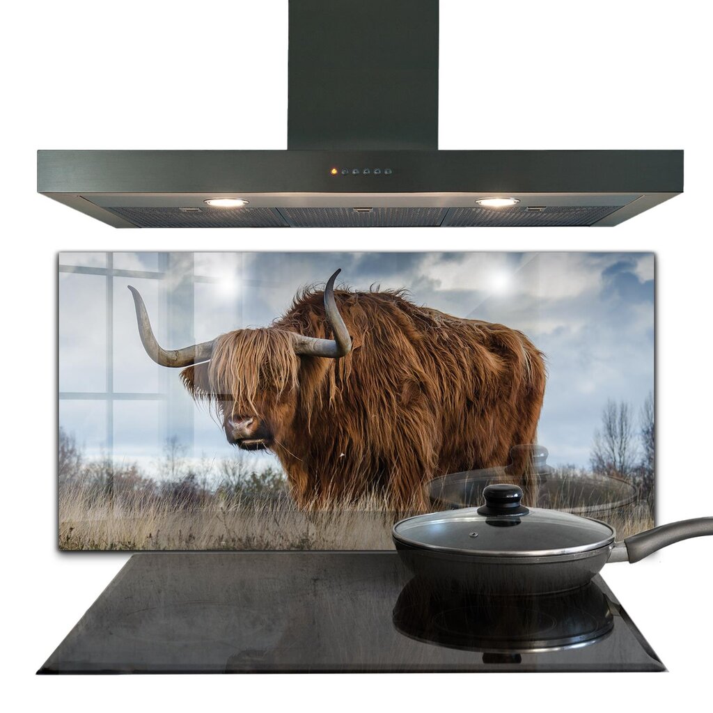 Apsauga nuo purslų stiklo plokštė Highland Boho karvė, 140x70 cm, įvairių spalvų kaina ir informacija | Virtuvės baldų priedai | pigu.lt