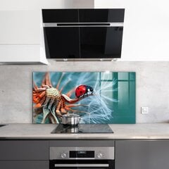 Apsauga nuo purslų stiklo plokštė Ladybug Raudonasis vabalas, 140x70 cm, įvairių spalvų kaina ir informacija | Virtuvės baldų priedai | pigu.lt