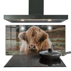 Apsauga nuo purslų stiklo plokštė Highland Cottage Style Cow, 140x70 cm, įvairių spalvų kaina ir informacija | Virtuvės baldų priedai | pigu.lt