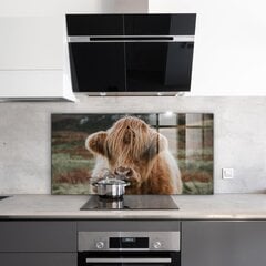 Apsauga nuo purslų stiklo plokštė Highland Cottage Style Cow, 140x70 cm, įvairių spalvų цена и информация | Комплектующие для кухонной мебели | pigu.lt