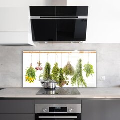 Apsauga nuo purslų stiklo plokštė Džiovintos žolės Žolinis vaistas, 140x70 cm, įvairių spalvų kaina ir informacija | Virtuvės baldų priedai | pigu.lt