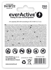 Įkraunamos baterijos everActive Ni-MH 6F22 9V 250 mAh Silver Line kaina ir informacija | Elementai | pigu.lt